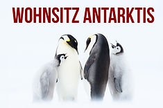 BILDER DER ERDE: WOHNSITZ ANTARKTIS - Eine Geschichte über Wärme. Am kältesten Ort der Erde