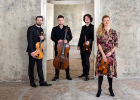 SAITEN DER SEHNSUCHT