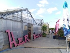 SOMMER-KABARETT: 9m² - 800 kalt