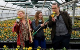 NUR DIE HARTEN KOMM' IN GARTEN